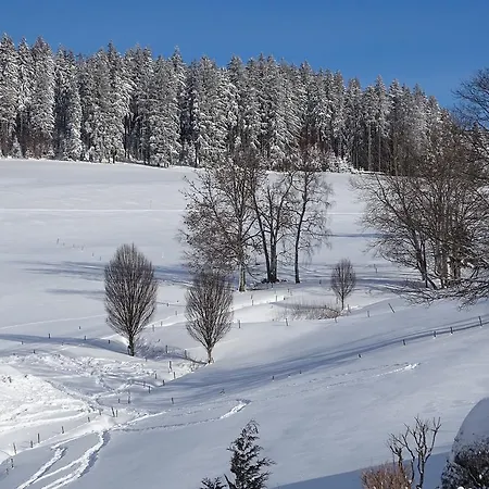 بيت ضيافة Haus Hubertus Sankt Märgen