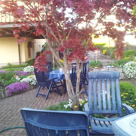 بيت ضيافة Haus Hubertus