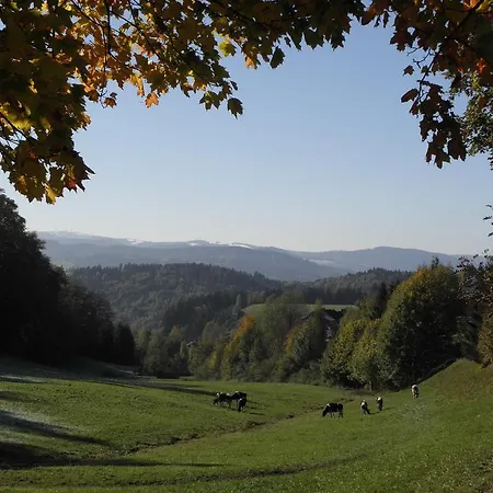 Haus Hubertus 3*