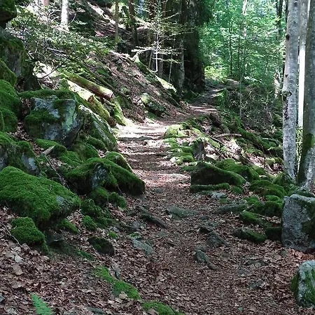 Haus Hubertus بيت ضيافة Sankt Märgen