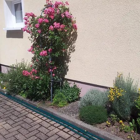 Haus Hubertus 상트마르겐