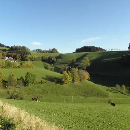 Haus Hubertus 3* Sankt Märgen